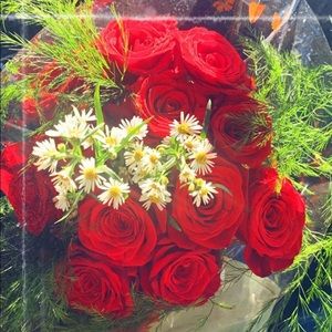 Meet your Posher, Feryal